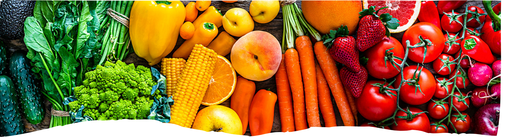 _Front Page Option 4