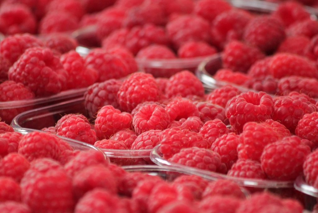 raspberries red berries fruits 378259 raspberries red berries fruits 378259